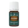 Young Living Peppermint Essential Oil 5ml | Ideal for Muscle Relaxation | Invigorating Mint Aroma | Cooling Sensation | Aromatherapy Diffuser at Home or After a Workout