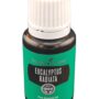 Young Living Eucalyptus Radiata Essential Oil 15ml - Pure & Refreshing Aromatherapy - Clear Your Senses - Certified Quality for Holistic Well-Being & Natural Wellness Journey