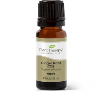 Plant Therapy Ginger Root CO2 Essential Oil 100% Pure, Undiluted, Natural Aromatherapy, Ginger Oil for Diffuser, Skin & Massage and Hair, Therapeutic Grade 10 mL (1/3 oz)