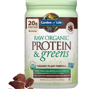 Garden of Life Raw Organic Protein & Greens – Chocolate – Vegan Protein Powder for Women and Men, Plant Protein, Pea Protein, Greens & Probiotics – Dairy Free, Gluten Free Low Carb Shake, 20 Servings