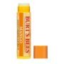 Burt's Bees 100% Natural Moisturizing Lip Balm, Mango Beeswax & Fruit Extracts - 12 Tubes