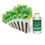 AeroGarden Salad Greens Mix Seed Kit, 6-pod