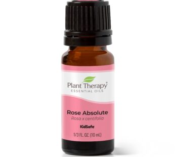 Plant Therapy Rose Absolute Essential Oil 100% Pure, Undiluted, Natural Aromatherapy, Therapeutic Grade 10 mL (1/3 oz)