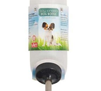 Lixit Wide Mouth Water Bottles for Large and Small Dogs (16oz Small Dog, White)