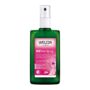 Weleda Wild Rose 24h Deodorant Spray, 3.4 Ounce