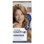 Clairol Root Touch-Up by Nice'n Easy Permanent Hair Dye, 7 Dark Blonde Hair Color, Pack of 1