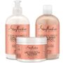 SheaMoisture Coconut & Hibiscus Curl Trio: Includes Curl & Shine Shampoo and CONDITIONER, Curl Enhancing Smoothie with Box