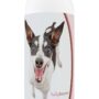 Healthy Breeds Rat Terrier Deodorizing Shampoo 16 oz