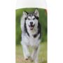 Healthy Breeds Alaskan Malamute Smelly Dog Baking Soda Shampoo 8 oz