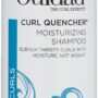 Ouidad Curl Quencher Moisturizing Shampoo, 8.5 Ounce (Packaging May Vary)