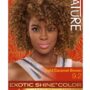 Creme of Nature, Exotic Shine Hair Color, 9.2 Light Caramel Brown, with Argan Oil from Morocco, 1 Application