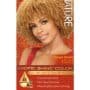 Exotic Shine Hair Color by Creme of Nature, 10.01 Ginger Blonde, with Argan Oil from Morocco, 1 Application