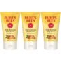 Burt's Bees Deep Cleansing Pore Scrub with Peach and Willow Bark, 4 Ounces, Pack of 3