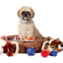 Pet Supplies