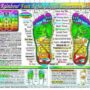 Rainbow® FOOT Reflexology/ Acupressure Massage CHART in the Inner Light Resources Rainbow® Cards & Charts Series. 8.5 x 11 in; 2-sided (Small Poster/ Large Card) Cards – December 30, 2010