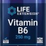 Life Extension Vitamin B6, 250 mg, high Potency, Cardiovascular Health, neurological Health, Eye Health, Healthy Kidney Function, Gluten-Free, Non-GMO, Vegetarian, 100 Capsules