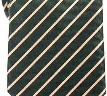 Retreez Thin Regimental Striped Woven Microfiber Men’s Tie