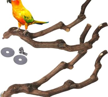 kathson Natural Parrot Perch Bird Stand Pole Wild Grape Stick Paw Grinding Fork Parakeet Climbing Standing Branches Toy Chewable Cage Accessories for Small Budgies Cockatiels Lovebirds 2PCS