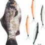 Outus Fish Shaped Pencil Case with Padded Foam Lining and Cute Fish Pens